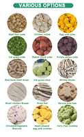 Friandises lyophilisées pour animaux de compagnie, naturelles, riches en protéines, sans céréales, pour chiens et chats, biscuits sains et croustillants 100g/200g