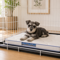 Rechteckige Hundebox-Einlage mit blauer Einfassung, rutschfester Unterseite und Sichtfenster für Welpentrainingsboxen