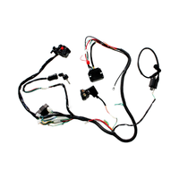 Harnais de câblage moteur entièrement électrique personnalisé pour moto, gaine en nylon/PVC, conducteur en cuivre étamé