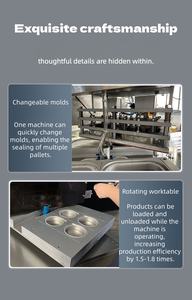 Máquina Selladora de Bandejas al Vacío Industrial para Comidas Preparadas y Envasado en Atmósfera Modificada - Product Image 6