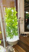 Tour de culture hydroponique verticale d'intérieur Seedafarm à étages, taille personnalisable, système d'irrigation automatique par pompe, facile à utiliser, 3 mois