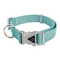 Collier lumineux LED transparent pour animaux de compagnie avec boucle à dégagement rapide, étanche, multi-tailles, boucle de sécurité anti-perte pour chien