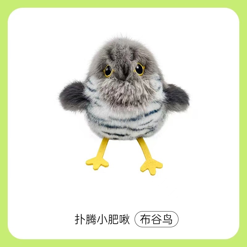 Cuculo