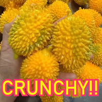 Handgemaakte knapperige, zachte Durian en Dragon Fruit stressbal, zachte fidgetbal, ASMR sensorische stressverlichtende speelgoed