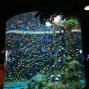 Fabriek Directe Verkoop Outdoor Grote Acryl <span class=keywords><strong>Aquarium</strong></span>, 2020 Nieuwe Producten Oceaan Wereld Acryl <span class=keywords><strong>Aquarium</strong></span> <span class=keywords><strong>Aquarium</strong></span> @ - Product Image 6