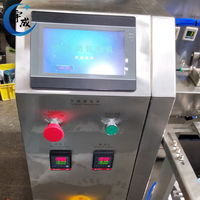 Hoog-efficiënte, fabrieksdirecte vacuümverpakkingsmachine, geschikt voor het verpakken van diverse ingelegde komkommers en gemarineerde producten