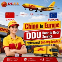 Service de livraison de fret transfrontalier en temps réel DDU porte-à-porte Chine-Europe Elite DLEX Express Logistics avec assurance pour colis FBA