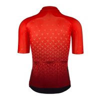 Kaos Sepeda Ringan untuk Balapan, Latihan, dan Olahraga Luar Ruangan Grosir Jersey Bersepeda Bahan Penyerap Keringat