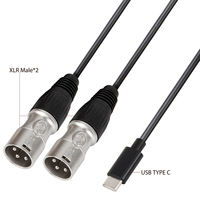 Câble d'interconnexion audio professionnel Yinyu DC007K USB-C vers double XLR mâle OFC à faible bruit pour smartphone, console de mixage, haut-parleur