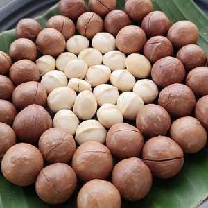 Nueces de Macadamia tostadas, sabor a leche, 25 mm + - Product Image 4