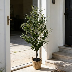 Venta al por Mayor de Fábrica: Árboles de Olivo Artificiales - Plantas Ligeras de Plástico Ecológico para Interiores/Exteriores - Product Image 4