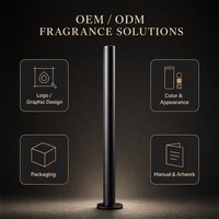 Diffuseur d'arômes en aluminium pour hôtels et espaces commerciaux, sans eau, design sans fil USB, commande par application intelligente, diffusion de brume fine