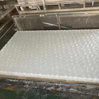 Panneau en plastique texturé en feuille acrylique cannelée décorative pour l'intérieur et les projets d'affichage personnalisés