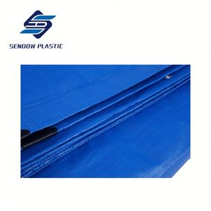 Couleur personnalisée <span class=keywords><strong>Cristal</strong></span> Poisson Étang PE Bâche - Product Image 6