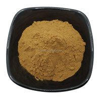 Poudre d'extrait de ginseng 10:1 poudre de ginseng extrait de ginseng naturel