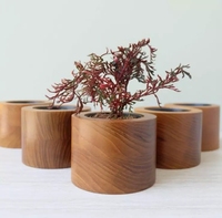 Pots de plantes succulentes pour la décoration intérieure Jardinières créatives Intérieur Extérieur Conteneurs de fleurs Boutique Vitrine Affichage Ornements