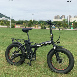 Vélo électrique pliable 48v750w Vélo électrique pliable Roue de 20 pouces <span class=keywords><strong>Fiido</strong></span> D11 Vélo électrique pliable Gesheng 750w Vélo électrique pliable - Product Image 2