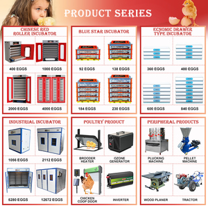 HHD Couveuse professionnelle à énergie solaire pour poulets, canards, autruches, caille, 5000 œufs, machine à couver, <span class=keywords><strong>prix</strong></span> agricole au Pakistan - Product Image 3