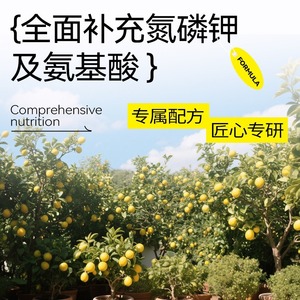 Liquide nutritif pour plantes citronniers, <span class=keywords><strong>engrais</strong></span> pour citronniers pour une croissance saine et plus de fruits - Product Image 6
