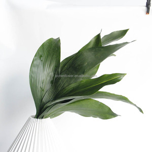 Feuilles d'<span class=keywords><strong>Aspidistra</strong></span>, boîte cadeau haut de gamme, personnalisable, cadeau pour la Saint-Valentin, bouquet de fleurs, tiges de fleurs fraîches, vente en gros en Chine - Product Image 4