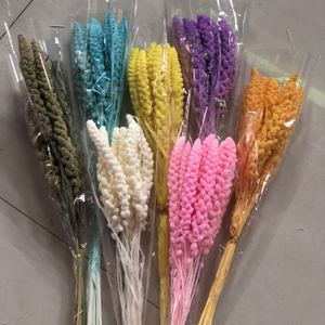 Lot de 10 tiges naturelles séchées au soleil de <span class=keywords><strong>millet</strong></span>, d'épis de blé et de sorgho, matériel floral séché pour bouquets faits main - Product Image 2