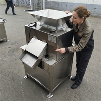 Industriële commerciële automatische roestvrijstalen schroefpers voor fruit- en groentesapverwerking met 380/220V voeding