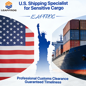 Expédition maritime DDP stable Chine-USA, agent de sourcing maritime porte-à-porte pour les achats en ligne au Kenya, suivi des envois de conserves et de bulles - Product Image 1