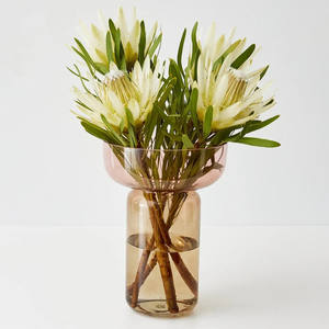 <span class=keywords><strong>Grand</strong></span> <span class=keywords><strong>vase</strong></span> décoratif à fleurs <span class=keywords><strong>en</strong></span> <span class=keywords><strong>verre</strong></span> coloré soufflé à la main OEM <span class=keywords><strong>en</strong></span> borosilicate pour plantes hydroponiques, décoration intérieure - Product Image 2