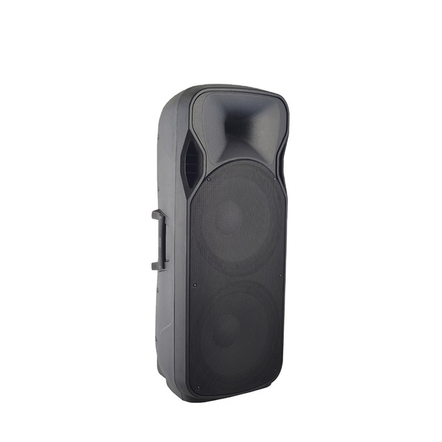 Hotsales Active Dual 15 Inch Wireless Karaoke Speaker Rechargeable Portable PA System with Mics for Outdoor Party
