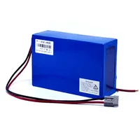 Customized Lithium ion Batteries, Electric Scooter Battery