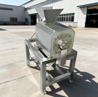 Hoge productiviteit 380V motor fruitpulper & extractor voor sinaasappel, perzik, gember - gebruik in kleine fruitverwerkingsinstallaties