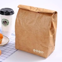 Tas Pendingin Makanan 20L Tahan Lama Ramah Lingkungan Dapat Didaur Ulang Terisolasi Tahan Air - Kapasitas Besar Biodegradable Kraft dengan Logo Kustom
