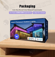 Qualité IP68 100 pieds extérieur RGBIC Led Pixel lumière permanente piste maison avant-toit garniture décorations de noël pour paysage PC lampe