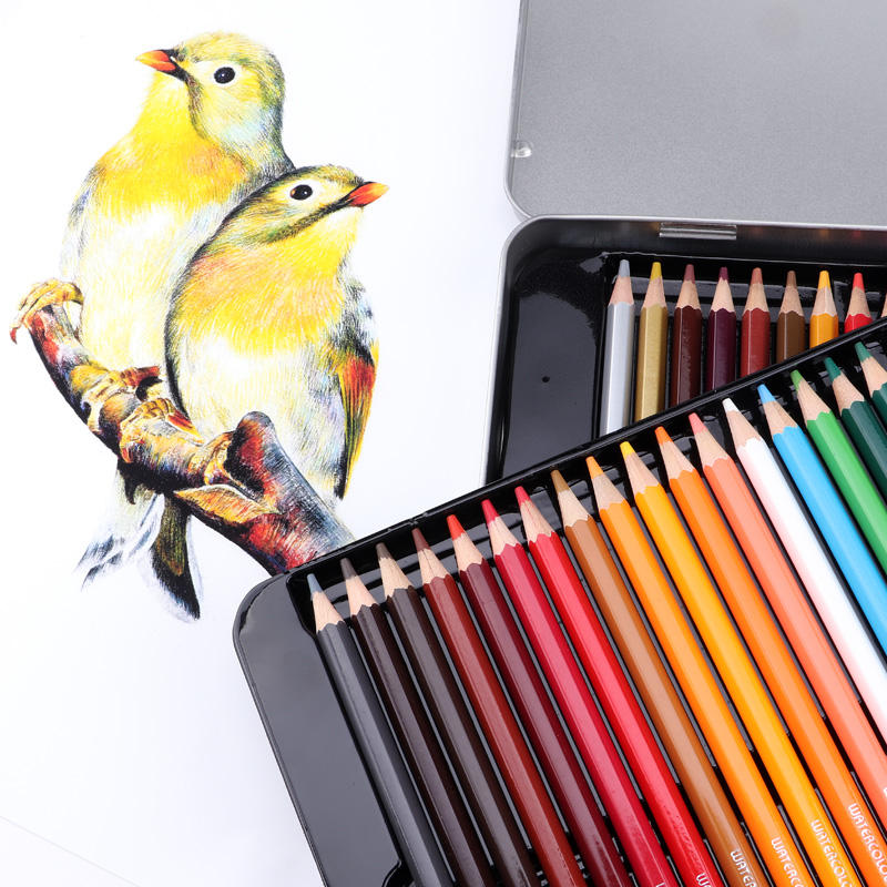 Set 48 Matite Colorate Professionali - Legno Esagonale, Colorazione Intensa, Per Disegno E Sketching - Foto 3