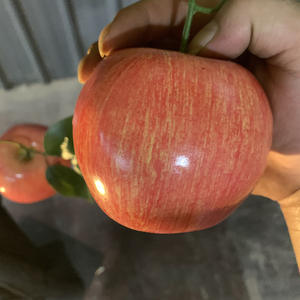 <span class=keywords><strong>Arbre</strong></span> décoratif d'extérieur en plastique, imitation fruits (pomme, orange, <span class=keywords><strong>kaki</strong></span>, grenade, banane, pêche) avec effet floqué pour aménagement paysager - Product Image 3