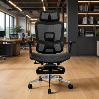 Chaise de bureau ergonomique avec support lombaire 5D, style professionnel, chaise de jeu confortable pour de longues heures de travail, respirante pour la maison
