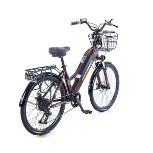 แบตเตอรี่ลิเธียม City 36V 10Ah จักรยานไฟฟ้าเรโทร 26 นิ้ว 350W ความเร็วสูง - Product Image 5
