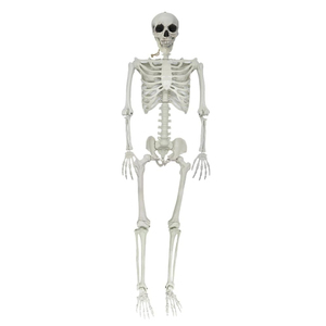 Halloween a grandezza naturale <span class=keywords><strong>scheletro</strong></span> gigante di Halloween all'aperto umano divertente Mini 8ft figura <span class=keywords><strong>giocattolo</strong></span> grande 5ft 12ft <span class=keywords><strong>scheletro</strong></span> per la vendita - Product Image 6