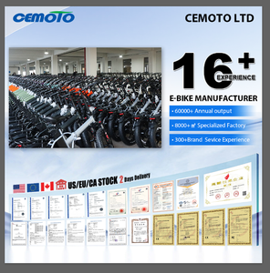 Triciclo Cargo Familiare di Alta Qualità, <span class=keywords><strong>Bicicletta</strong></span> Elettrica a <span class=keywords><strong>Tre</strong></span> <span class=keywords><strong>Ruote</strong></span> da 350W per Adulti - Product Image 2