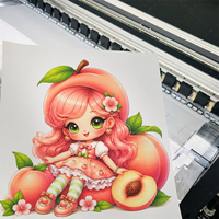Vente chaude DTF transfert de chaleur autocollant sérigraphié PET vinyle pour T-shirts et vêtements DTF transfert technique d'impression