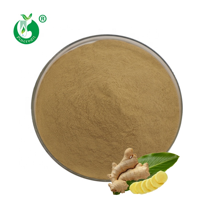 Wholesale 1% 5% 10% 20% Gingerol Bulk Organic Ginger Root Extract Powder