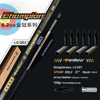 Flèche de tir à l'arc en carbone pur Pandarus Champion 0,001'' ID 6,2 mm 32 pouces SP300/350/400/500/600/700/800 avec plume en plastique