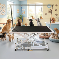 Table de toilettage électrique pour animaux de compagnie, table de toilettage pour chiens et chats, table de toilettage pour chiens de taille moyenne et grande