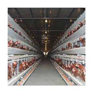 Good Price A Frame Anti-Rust Galvanized Vertical Type Laying Hens Day Old Layer Chicks Cage