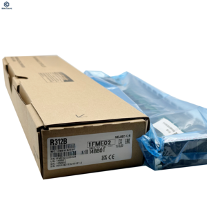 Module d'entrée CC pour PLC industriel R312B R324B R316B pour système d'automatisation - Product Image 1