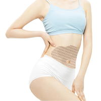 Patch Minceur Ventre à l'Absinthe Lijitang, Gestion du Poids, Patch Amincissant pour le Nombril, OEM ODM