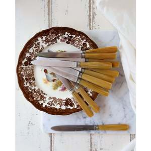 Juego de 12 Cuchillos de Mesa Flaviamastro con Mangos de Resina - Product Image 1