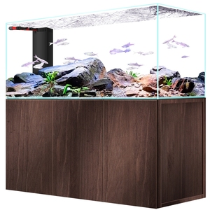 אקווריום דגי זהב בסגנון קריק, זכוכית שקופה במיוחד, גלישה צידית, סינון תחתון ועיצוב אקווריום - Product Image 5