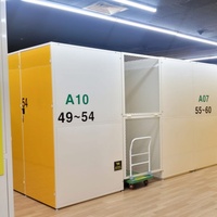 Unités de stockage libre-service à prix abordable avec casier de stockage à expédition rapide en vente en bon état en Chine