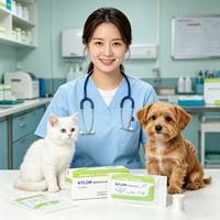 Fil chirurgical monofilament lisse en nylon stérile jetable pour hôpitaux vétérinaires et cliniques pour animaux